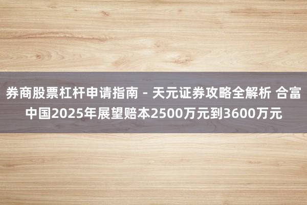 券商股票杠杆申请指南 - 天元证券攻略全解析 合富中国2025年展望赔本2500万元到3600万元